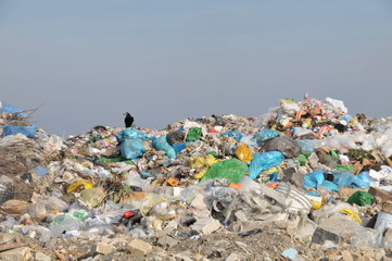 waste dump