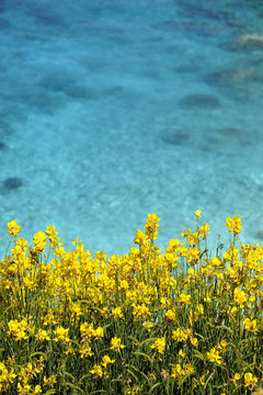 Paxos Island