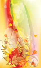 Autumn leaves background, vector illustration