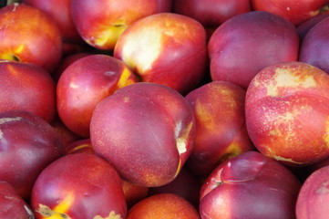 pêches
