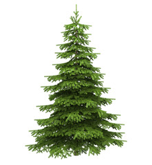 Christmas tree