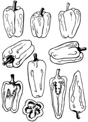 Set of various peppers doodle, some of them cut