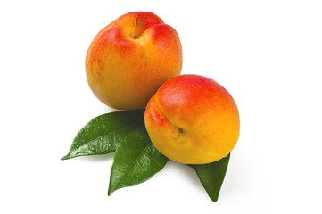 Apricot with leaf on white