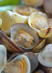 Vongole veraci