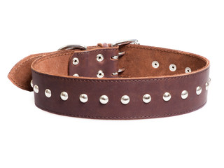 brown collar with rivets isolated over white background