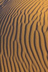 Ripples in the sand