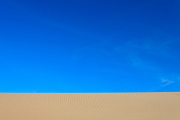 Naklejka premium Bird footprint in the sand