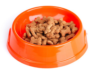 dog food isolated on white