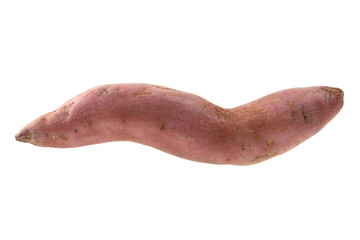 Sweet Potato