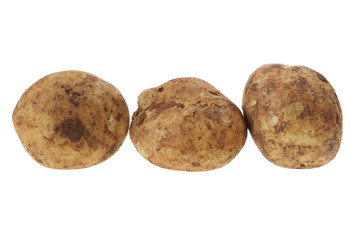 Fototapeta premium Potatoes
