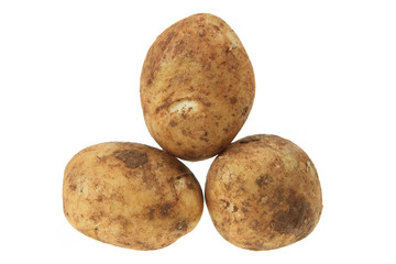 Fototapeta premium Potatoes