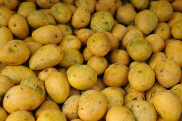 Fresh Mangoes