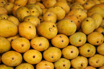 Fresh Mangoes