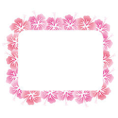 hibiscus frame