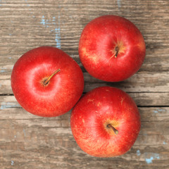 Red ripe apple