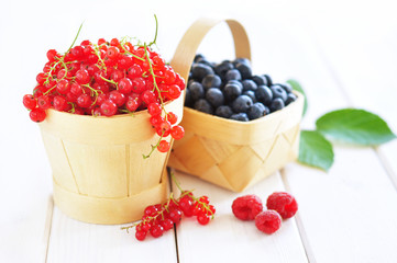 Red currants and blueberry in little wooden containers