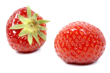 Fruit