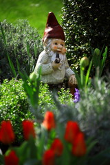 Gartenzwerg 01