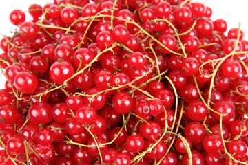 Red Currant on white background