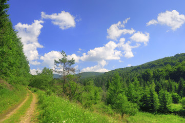 Bieszczady National Park - obrazy, fototapety, plakaty