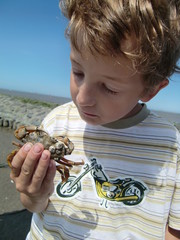 Kind mit Strandkrabbe