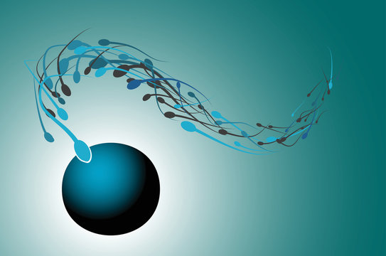 Sperms approaching an ovum