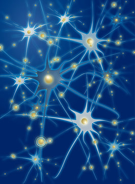 Neurona