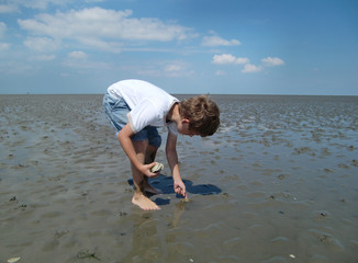 Niedrigwasser im Wattenmeer