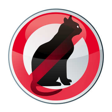 femmes enceintes d'approcher les chats, Toxoplasmose