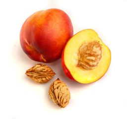Isolated fruits - Nectarines
