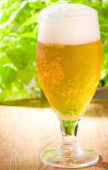 beer