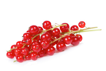 red currant