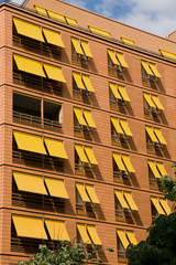 An orange facade with yellow jalousies