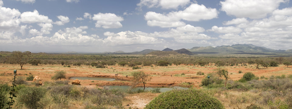 Fototapeta African savannah