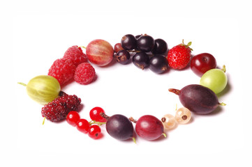 fruits frame