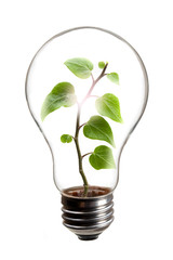 電球と新芽の環境イメージ