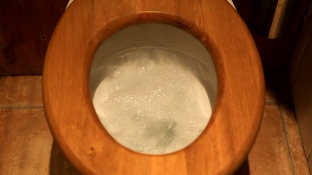 toilette