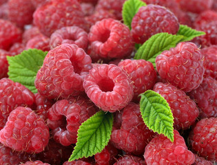 ripe raspberry