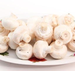 Champignons