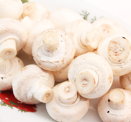 Champignons