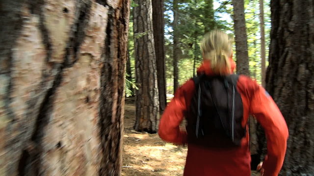 Girl Jogging on National Park Trails