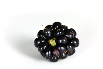 Frische Brombeeren