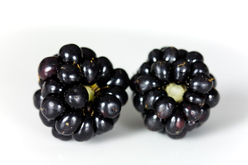 Frische Brombeeren