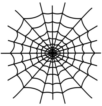 Black spiderweb isolated