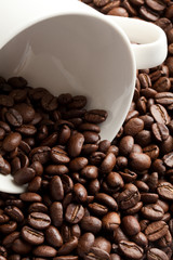 Coffee Bean