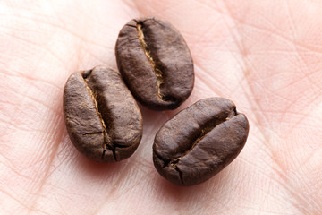 Coffee Bean