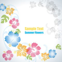 Summer flowers background - 33853110