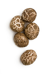 Mushrooms isolated on white