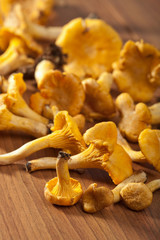 fresh chanterelle mushrooms