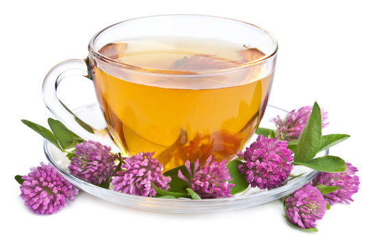 herbal tea and clover flowers isolated